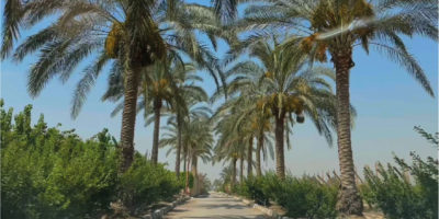 Untitled-1-01 Untitled-1-01