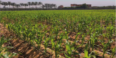 Untitled-1-02 Untitled-1-02