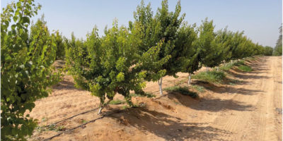 Untitled-1-03 Untitled-1-03