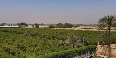 Untitled-1-04 Untitled-1-04