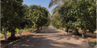 Untitled-1-05 Untitled-1-05