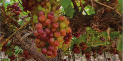 Untitled-1-06 Untitled-1-06