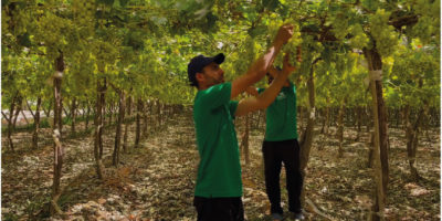 Untitled-1-07 Untitled-1-07