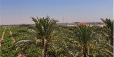 Untitled-1-08 Untitled-1-08