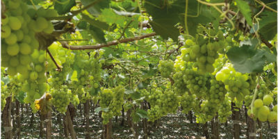 Untitled-1-09 Untitled-1-09