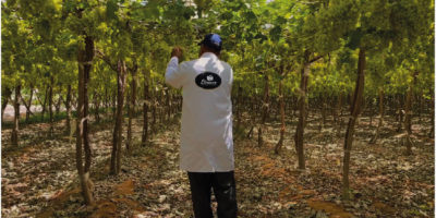 Untitled-1-11 Untitled-1-11