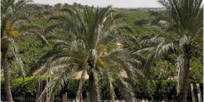 Untitled-1-12 Untitled-1-12